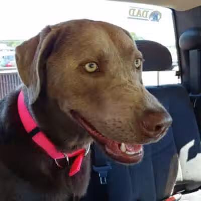 Hickory Flats G.C - West Lafayette, OH