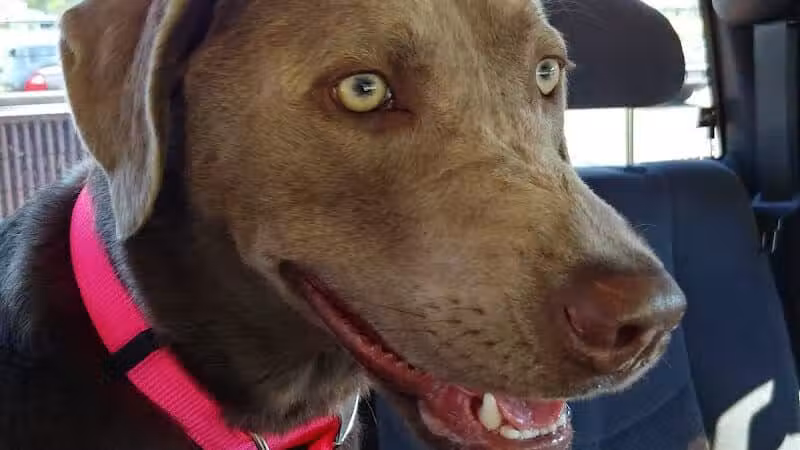 Hickory Flats G.C - West Lafayette, OH