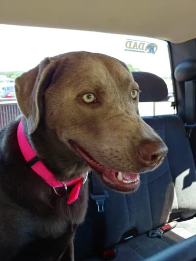 Hickory Flats G.C - West Lafayette, OH