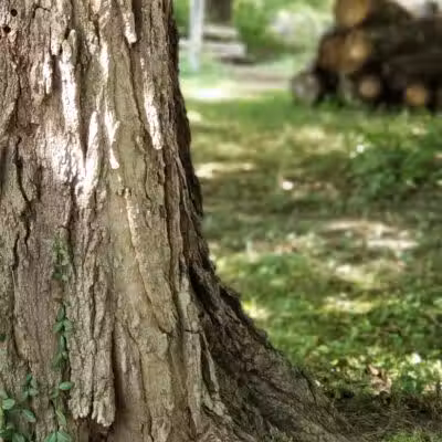 Dodge Park - West Liberty, OH