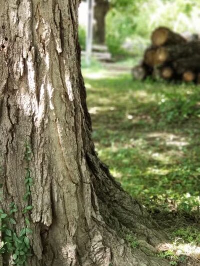 Dodge Park - West Liberty, OH