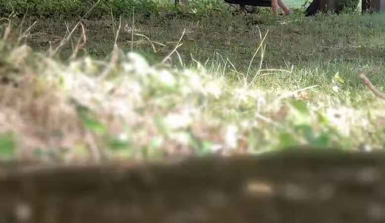 Dodge Park - West Liberty, OH