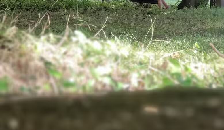 Dodge Park - West Liberty, OH