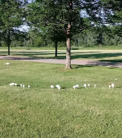 Lions Club Ball Park - West Liberty, OH