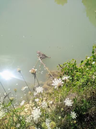 Drake Park - West Salem, OH