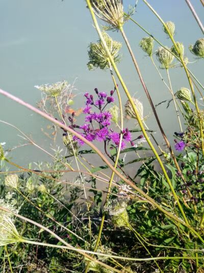 Drake Park - West Salem, OH