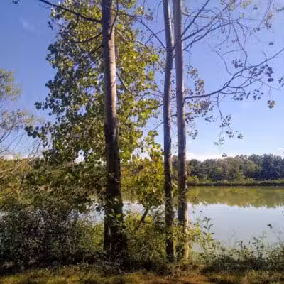 Drake Park - West Salem, OH