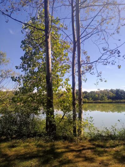 Drake Park - West Salem, OH