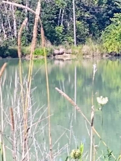 Drake Park - West Salem, OH