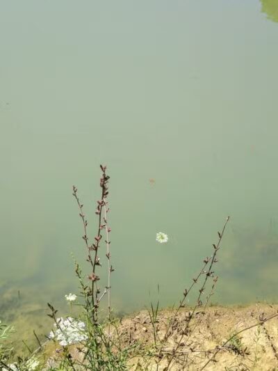 Drake Park - West Salem, OH