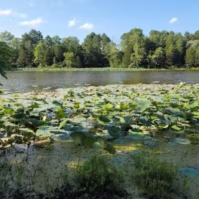 Adams Lake State Park - West Union, OH