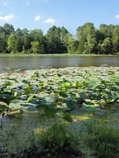 Adams Lake State Park - West Union, OH