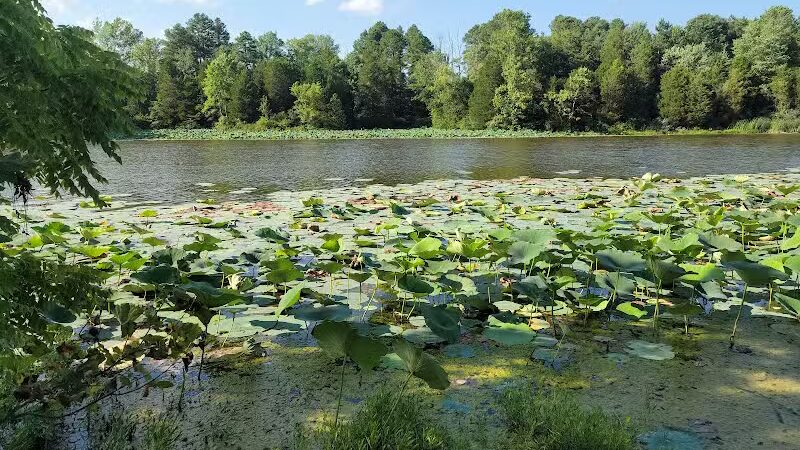 Adams Lake State Park - West Union, OH