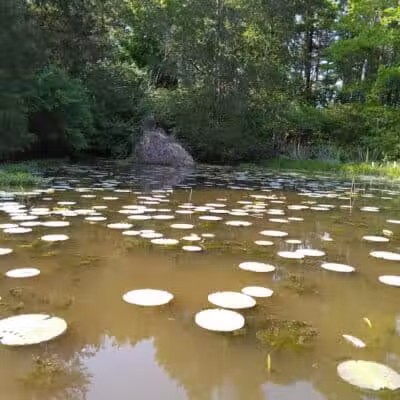 Adams Lake State Park - West Union, OH