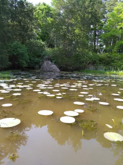 Adams Lake State Park - West Union, OH