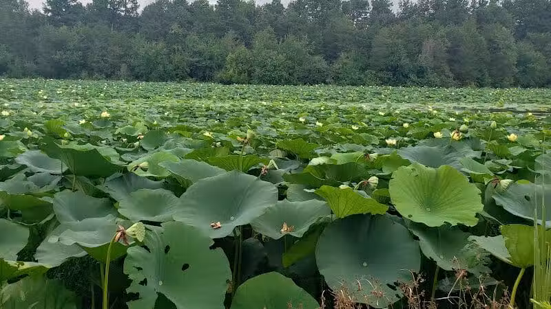Adams Lake State Park - West Union, OH
