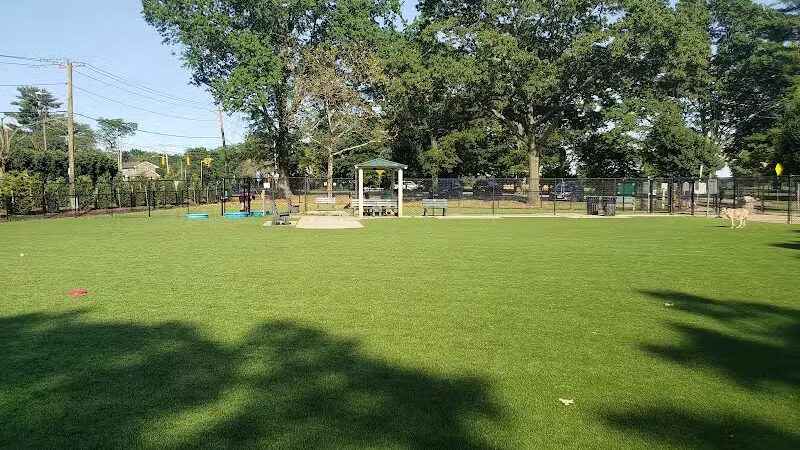 Eisenhower Dog Park - Westbury, NY