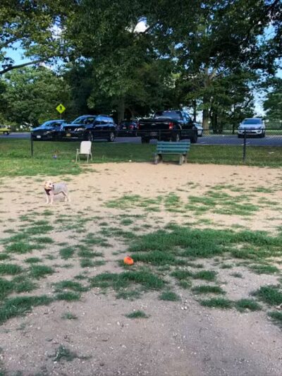 Eisenhower Dog Park - Westbury, NY