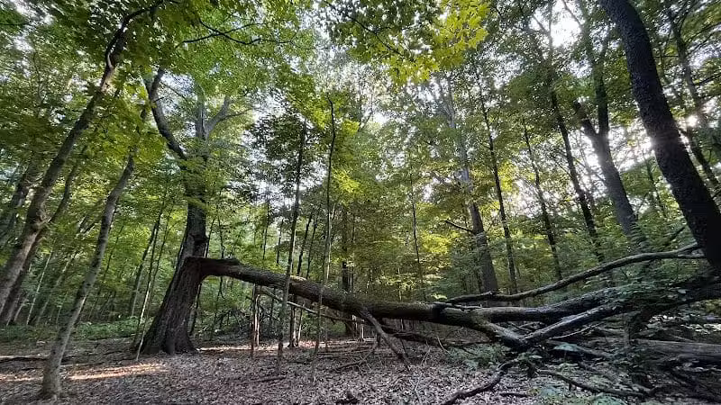 Blendon Ravines Metro Park - Westerville, OH