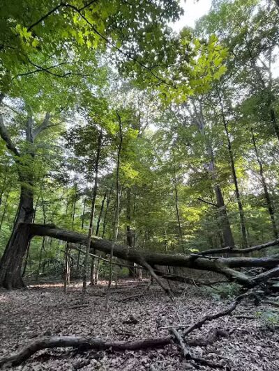 Blendon Ravines Metro Park - Westerville, OH