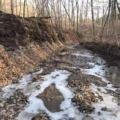 Blendon Ravines Metro Park - Westerville, OH