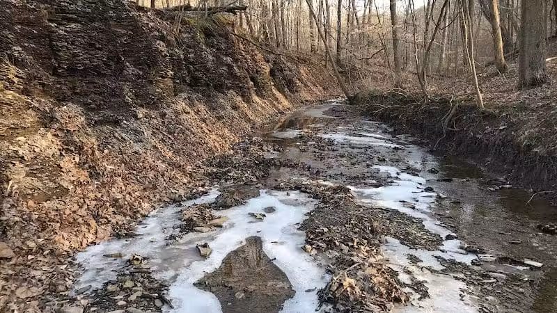 Blendon Ravines Metro Park - Westerville, OH