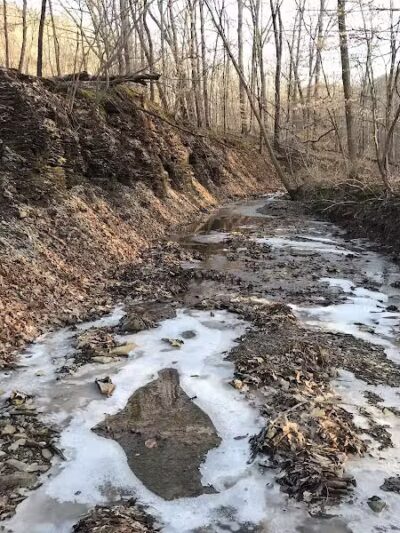 Blendon Ravines Metro Park - Westerville, OH