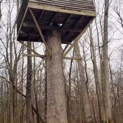 Blendon Ravines Metro Park - Westerville, OH