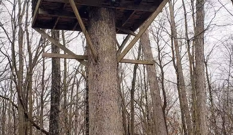 Blendon Ravines Metro Park - Westerville, OH