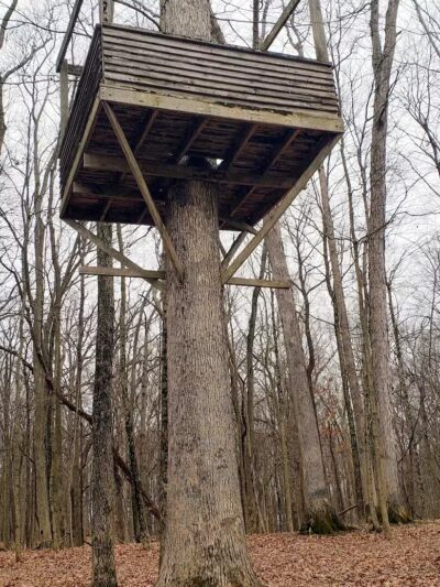 Blendon Ravines Metro Park - Westerville, OH