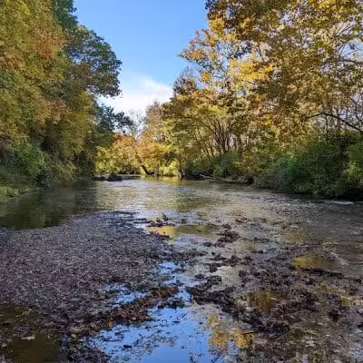 Blendon Ravines Metro Park - Westerville, OH