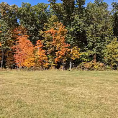 Blendon Ravines Metro Park - Westerville, OH