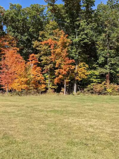 Blendon Ravines Metro Park - Westerville, OH