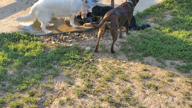 Brooksedge Park Bark Park - Westerville, OH