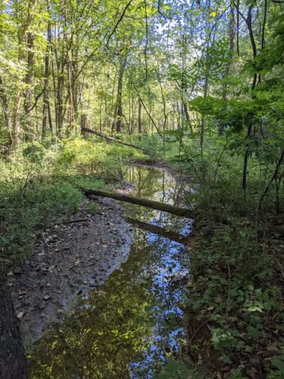 Char-Mar Ridge Park - Westerville, OH