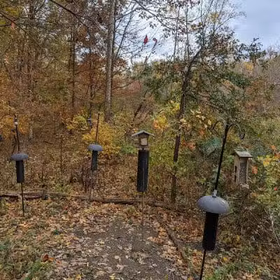 Char-Mar Ridge Park - Westerville, OH