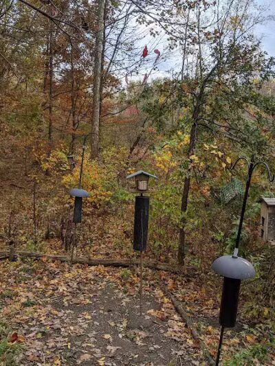 Char-Mar Ridge Park - Westerville, OH