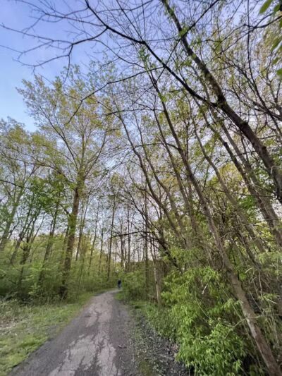 Lazelle Woods Park - Westerville, OH