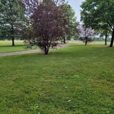 Lazelle Woods Park - Westerville, OH