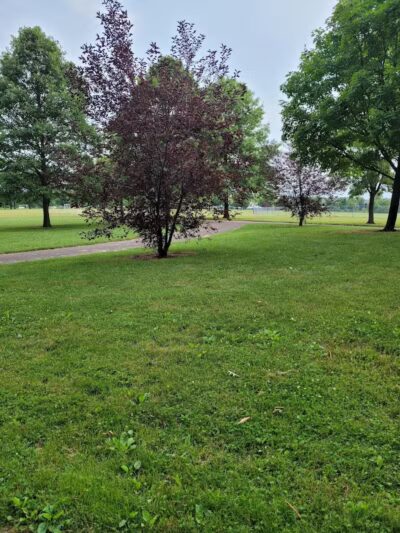 Lazelle Woods Park - Westerville, OH