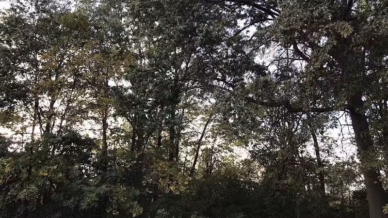 Lazelle Woods Park - Westerville, OH