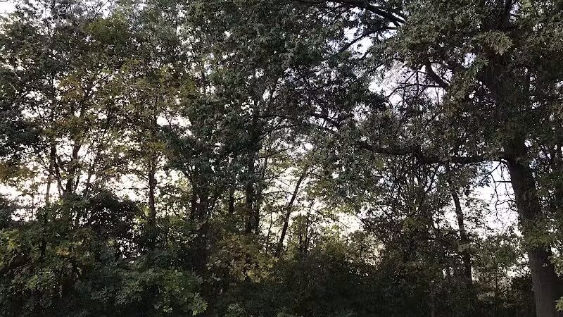 Lazelle Woods Park - Westerville, OH