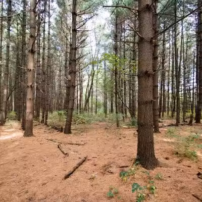 Parkhill Park - Westerville, OH