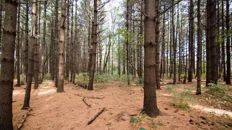 Parkhill Park - Westerville, OH