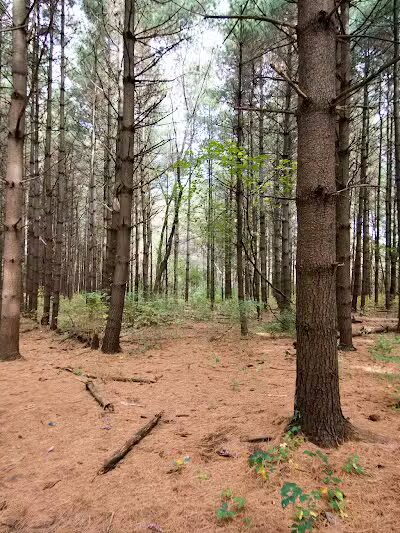 Parkhill Park - Westerville, OH