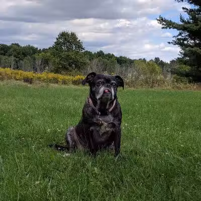 Parkhill Park - Westerville, OH