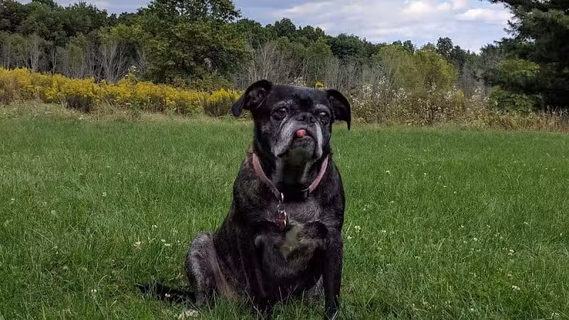 Parkhill Park - Westerville, OH