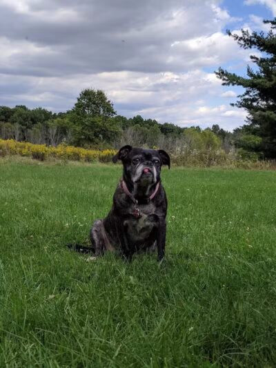 Parkhill Park - Westerville, OH