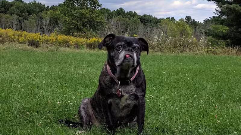 Parkhill Park - Westerville, OH