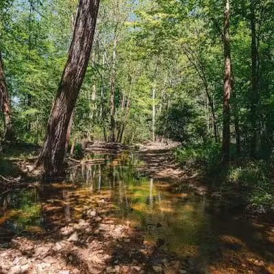 Parkhill Park - Westerville, OH